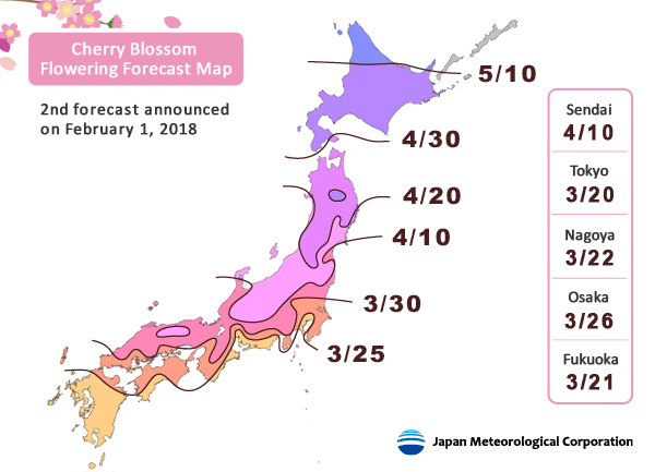 cherry-blossom-forecast.png