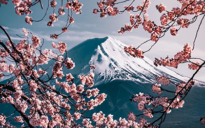 tokyo_Mt_Fuji.jpg